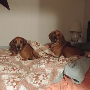 Meet your Posher, Marla